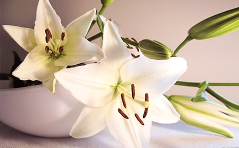 �(y��ng)�_(t��i)�ϰٺϻ�����400��