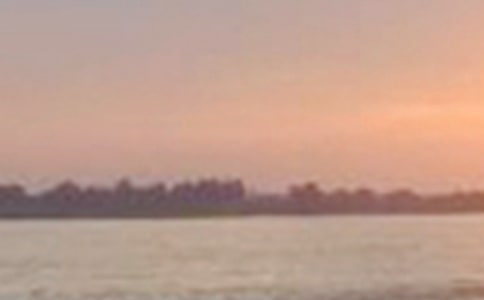 �茑�L��������600�֣�ͨ��15ƪ��