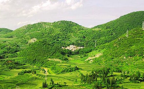 �P(gu��n)�ڴ�ɽ����500�֣����x27ƪ��