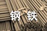 鋼鐵是怎樣練成的讀后感范文600字