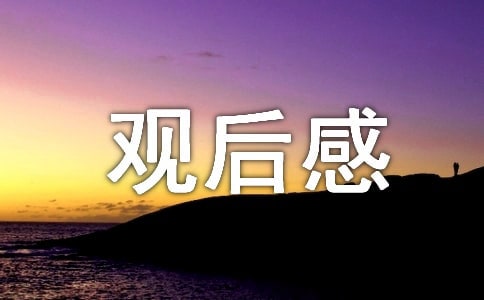 《士兵突擊》觀后感作文1000字(通用9篇)
