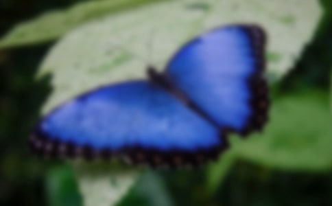 ���������Č�(sh��)��(8ƪ)