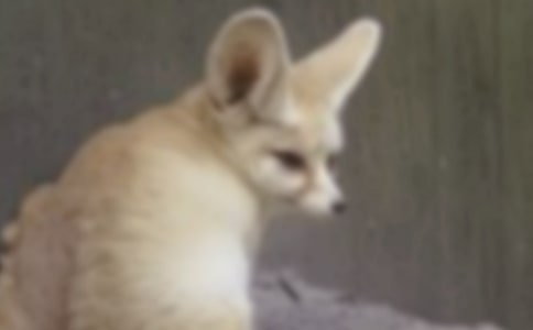 ��؝�����Ǻ����ĺ�؂���x���800��