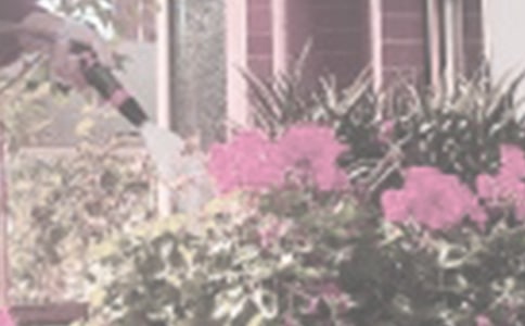 �h(hu��n)�����؝�������