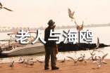 《老人與海鷗》讀后感600字作文