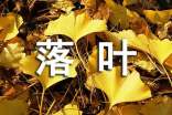 落葉的作文600字(優(yōu)選4篇)