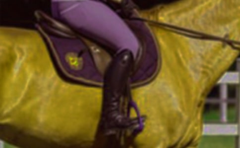 �ҌW(xu��)�����T�R