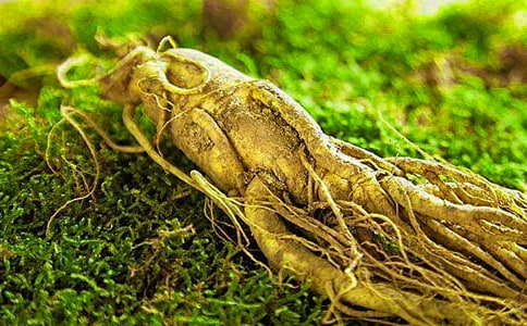 �˅��L�����ϵ��C��(j��)����800��