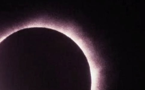 ��ʳ����500�֣����x51ƪ��