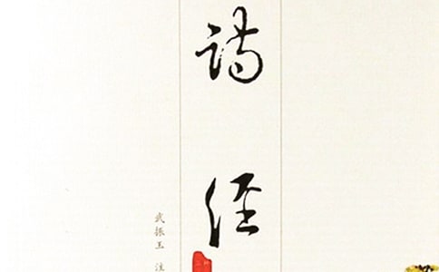 詩經(jīng)作文300字三篇