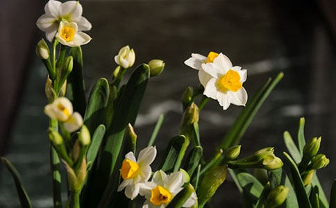 ������ˮ�����x���400�֣�ͨ��11ƪ��