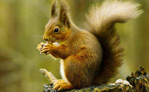 �P(gu��n)����������600����ƪ