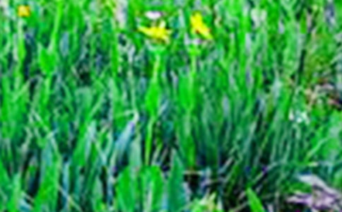 �����x����Ұ����300�־�ƪ