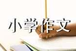 小學(xué)作文1000字八篇