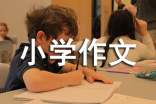 關(guān)于小學(xué)作文700字錦集八篇