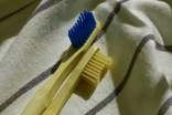 【推薦】牙刷作文300字3篇