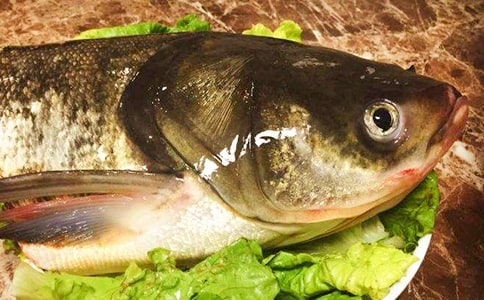 �~�^�x�������200��