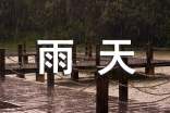雨天的作文300字