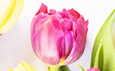 �茑������ă�(y��u)�����ӣ����x180�䣩