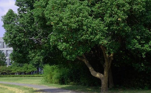 ͨ���簲�������Z(y��)�����Ȧ�󼯺�82��