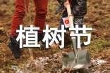 關于植樹節(jié)征文精選
