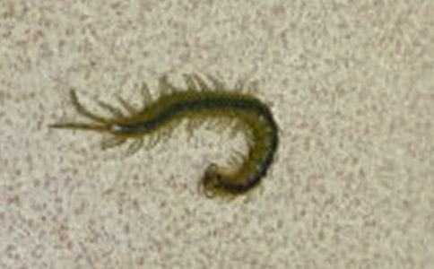 ����c�w���ِ����