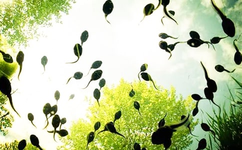 ��Ҋ(ji��n)��,С�������300��