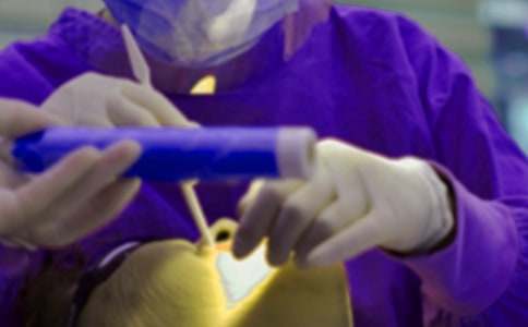 ������������11ƪ