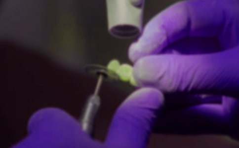 �����]����������500��3ƪ