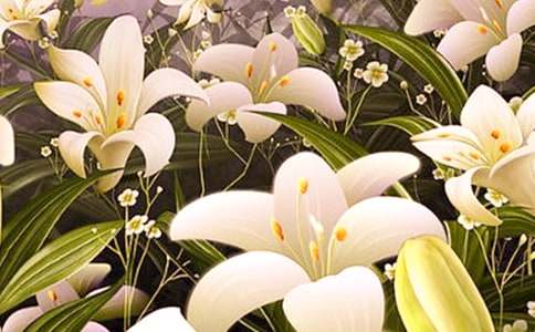 �ٺϻ���300������