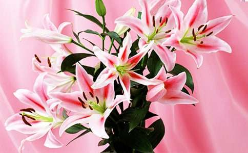 �ٺϻ���������300��