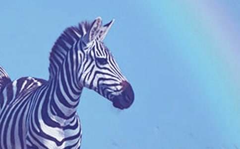 ��ɫ�İ��R����