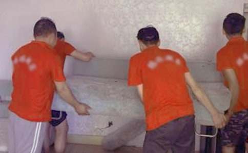 我發(fā)現(xiàn)螞蟻搬家的作文