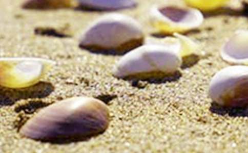 ������ؐ�����ģ����x49ƪ��