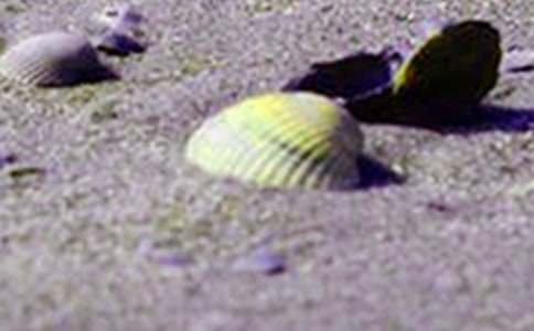 ؐ�����^����200��