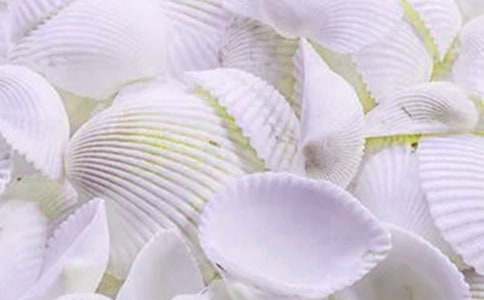 海邊撿貝殼作文600字3篇