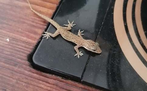 ���P�ڻ�����500��7ƪ