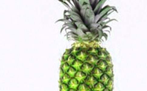 菠蘿作文600字三篇