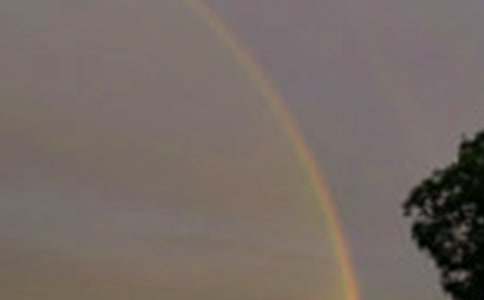 雨后的彩虹初一作文1000字