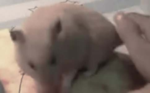 ���Ⲫ����С�}������300��