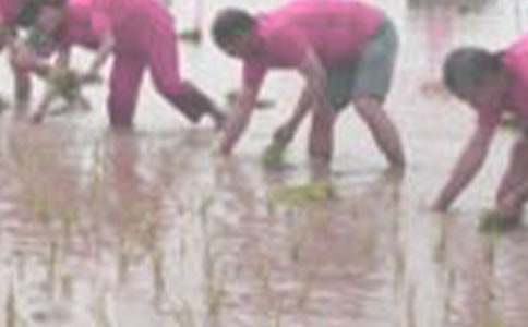 ��������600�ֺϼ���ƪ