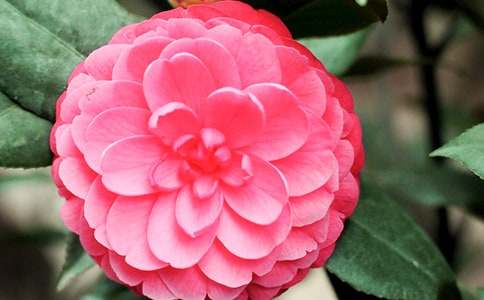 ��(xi��)�軨������