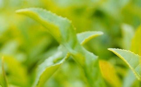 ���l(xi��ng)�Ĳ��~����400��