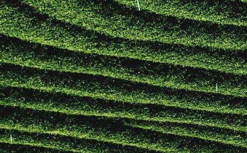 �^����~����(7ƪ)