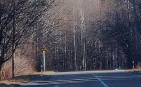 �L��ɽ��صľ�ɫ����600��