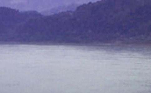 ��B�L���������ģ����x50ƪ��