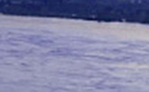 在長江水面寫日記作文1500字