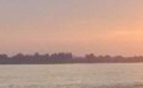 【精選】長江作文300字三篇