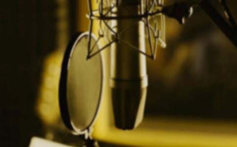 �����T����������300��8ƪ