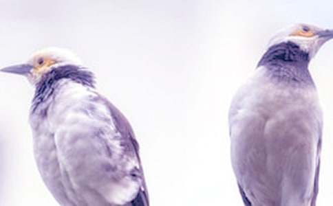 �P(gu��n)���Һ�ͬ�W(xu��)���ܵ�����